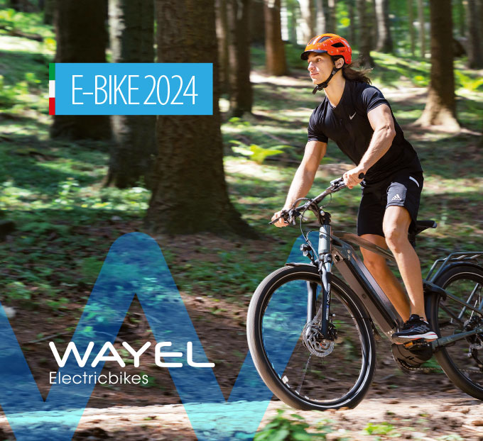 wayel catalogo 2024