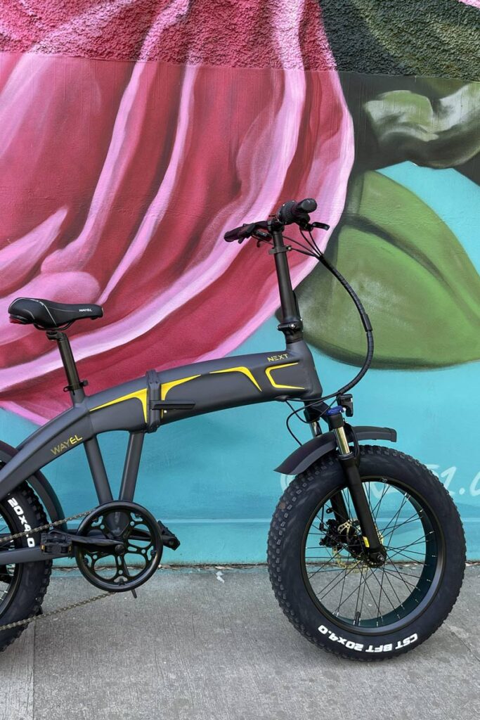 NEXT OFF-ROAD fat ebike