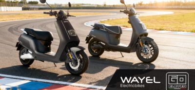 Wayel al fianco di Team Go Eleven