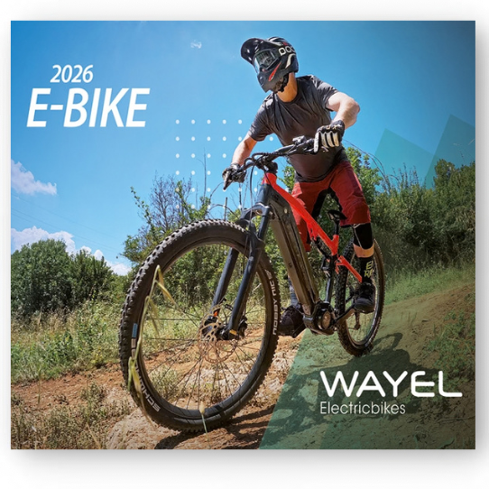 copertina ebike 2026